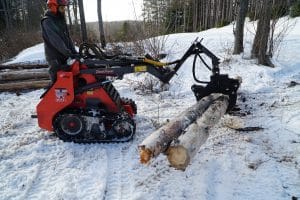 Winter is best time for pruning trees: Treemaster Tips by Mike White