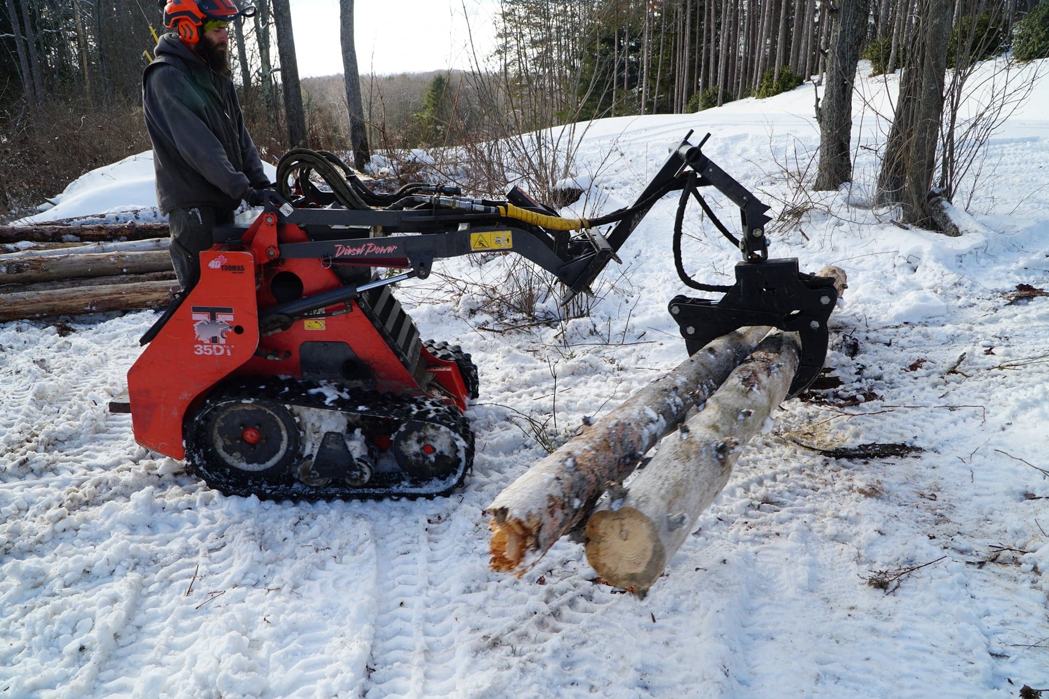 Read more about the article Winter is best time for pruning trees: Treemaster Tips by Mike White