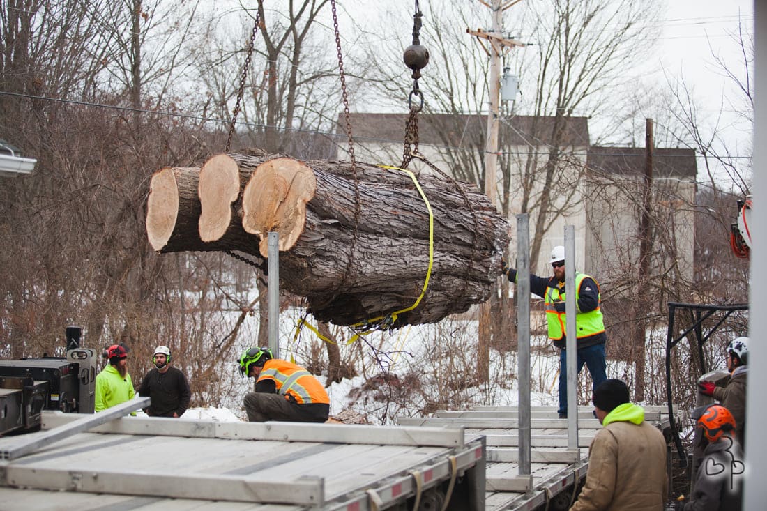 The experts at Mansfield Crane helped us to remove an exceptionally challenging Silver Maple behind the Frog Hut in Wellsboro. The trunk ended up weighing 14,000 pounds!