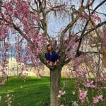 Why do trees flower?: Ask the Arborist by Mike White