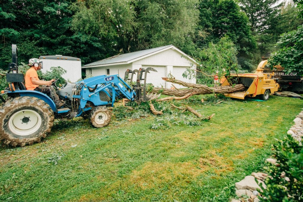 worker grinding tree with machine